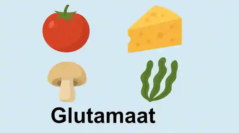 Glutamaat
