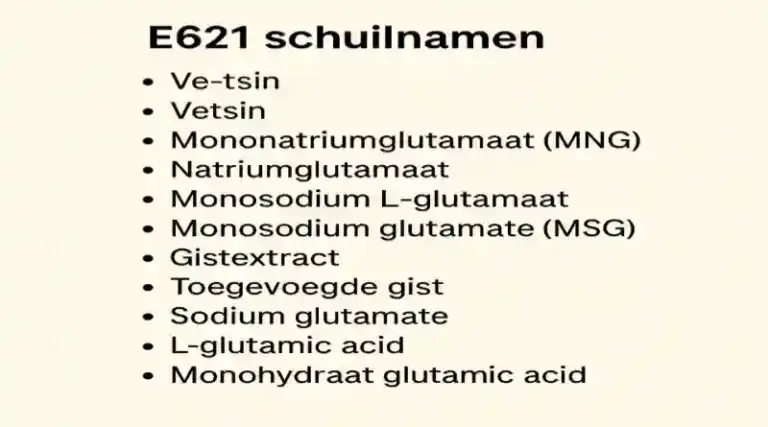 e-621 schuilnamen