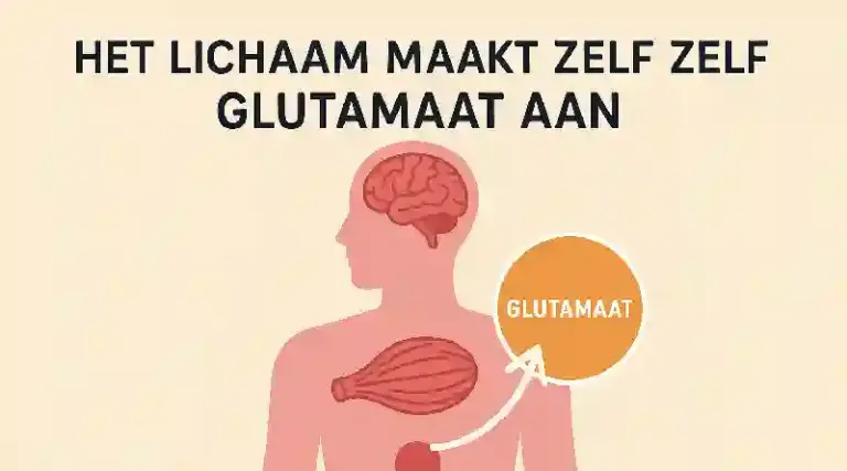 het lichaam maakt zelf