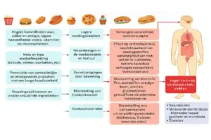ultrabewerkt voedsel